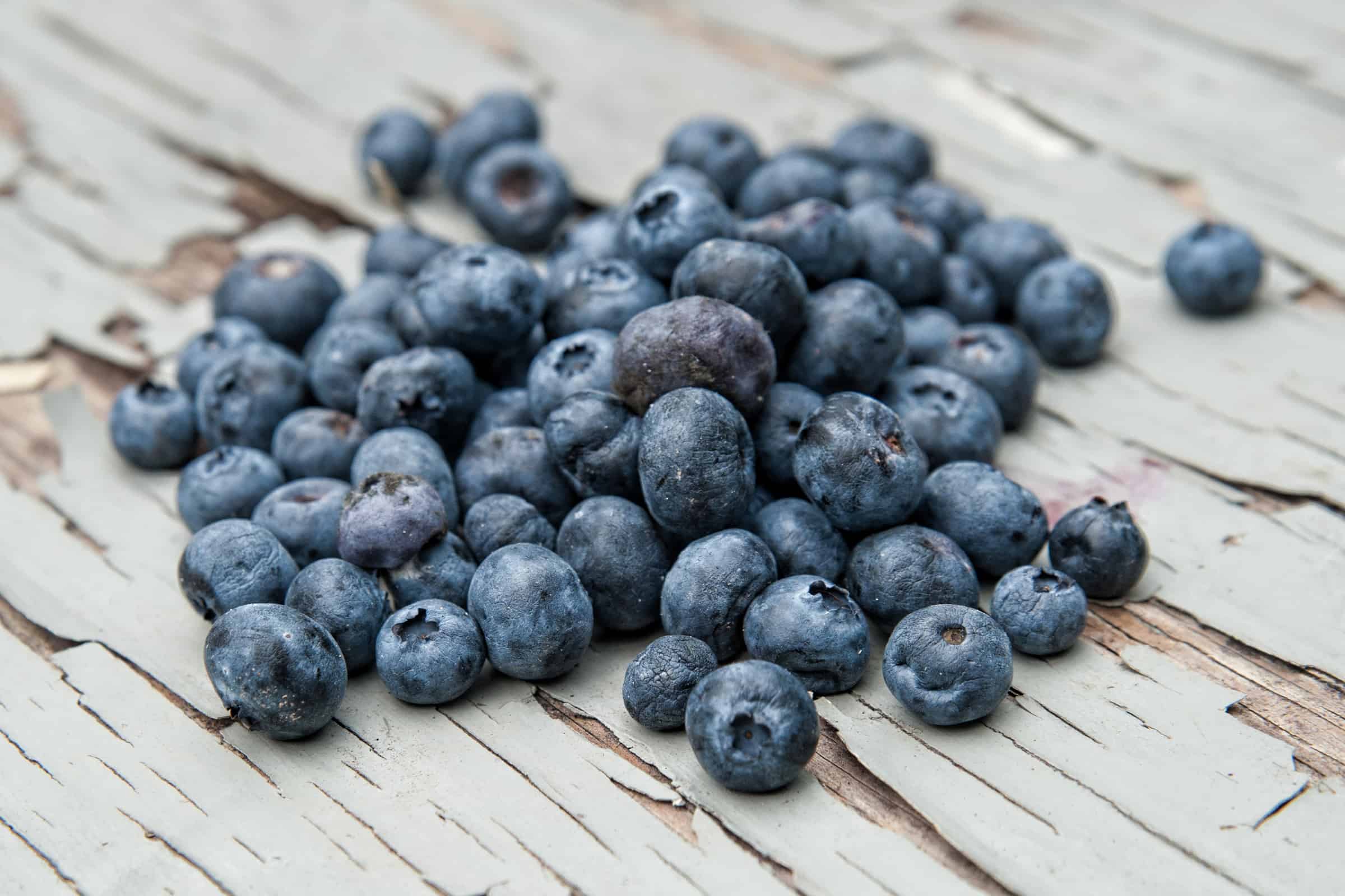 Blueberries—A Fruit Born and Bred in New Jersey