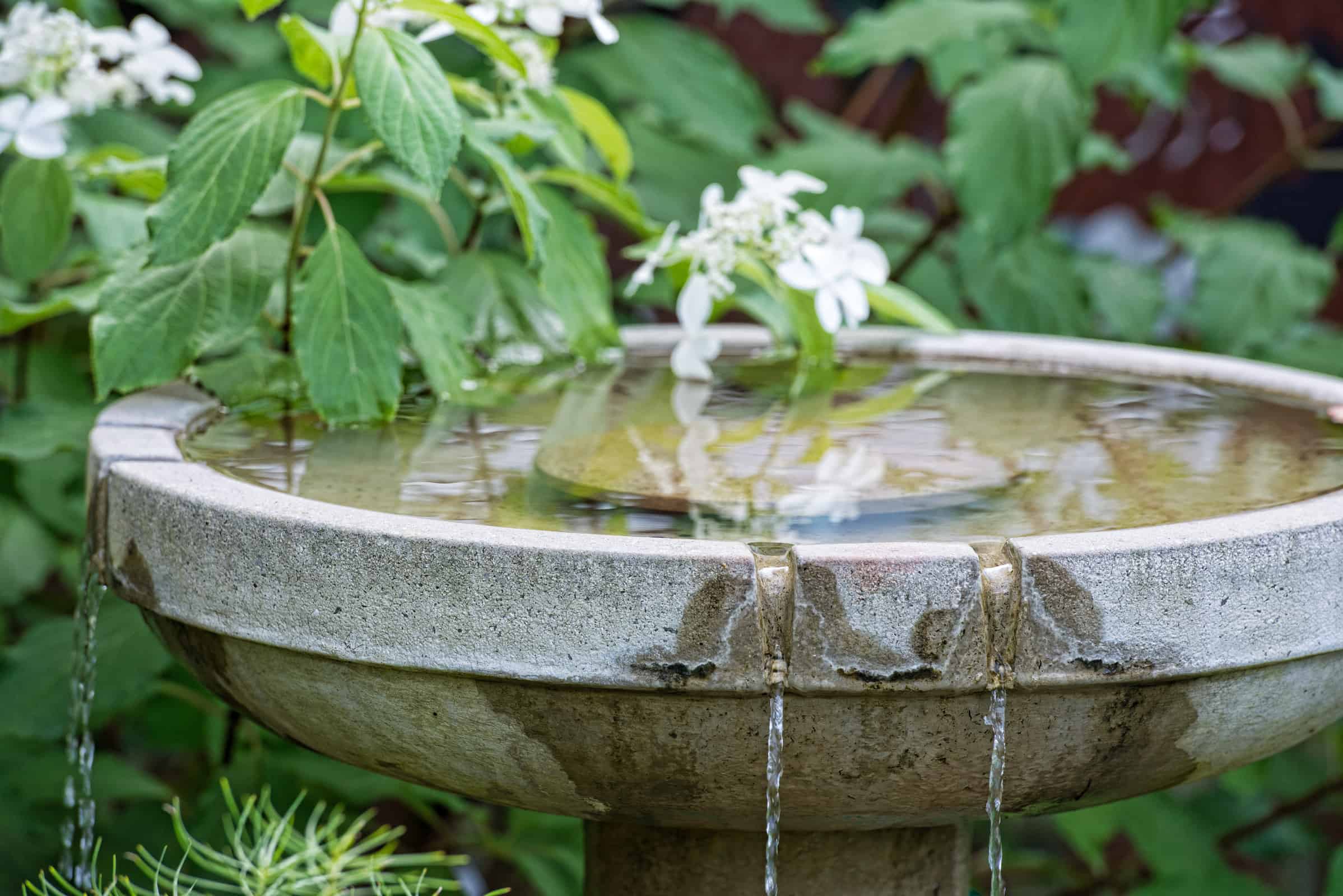 Water Features In Your Garden
