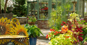 The greenhouse at In Bloom Nursery at Calgo Gardens