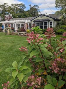 In Bloom at Calgo Gardens