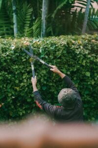 Garden Maintenance Programs