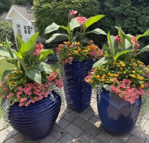 custom container gardens